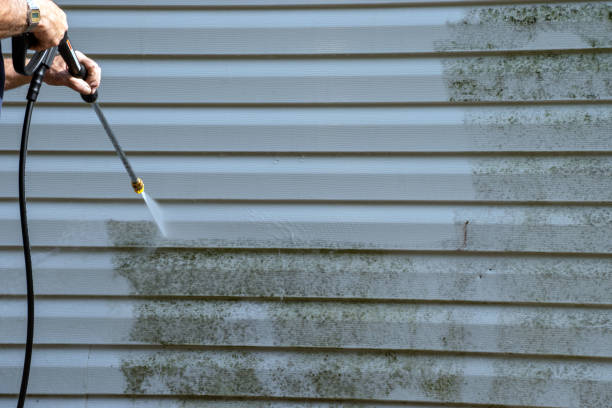 Affordable siding repair and maintenance services in Irving, TX